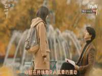 保定安双商贸有限公司