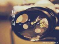 保定安双商贸有限公司