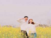 保定安双商贸有限公司