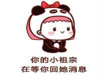 保定安双商贸有限公司