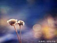 保定安双商贸有限公司