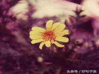 保定安双商贸有限公司