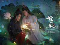 保定安双商贸有限公司