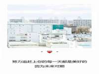 保定安双商贸有限公司