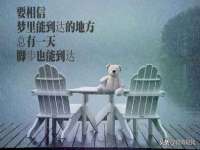 保定安双商贸有限公司