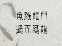 保定安双商贸有限公司