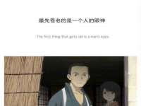 保定安双商贸有限公司