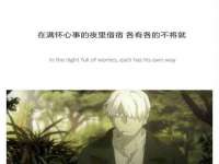 保定安双商贸有限公司