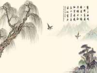 保定安双商贸有限公司