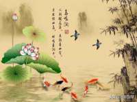 保定安双商贸有限公司