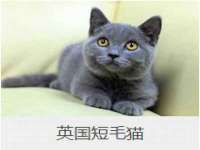 保定安双商贸有限公司