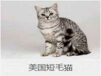 保定安双商贸有限公司