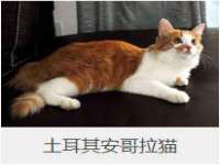 保定安双商贸有限公司