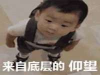 保定安双商贸有限公司