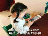 保定安双商贸有限公司