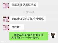 保定安双商贸有限公司