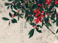 保定安双商贸有限公司