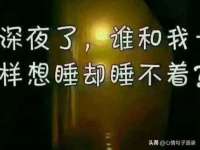 保定安双商贸有限公司