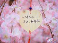 保定安双商贸有限公司