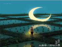 保定安双商贸有限公司