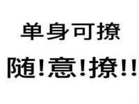 保定安双商贸有限公司