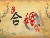 保定安双商贸有限公司