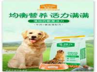 保定安双商贸有限公司