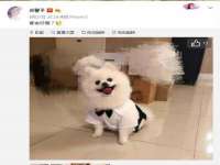保定安双商贸有限公司