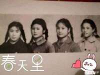 保定安双商贸有限公司