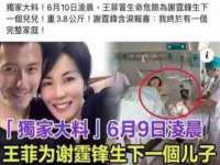 保定安双商贸有限公司