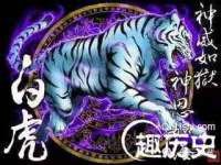 保定安双商贸有限公司