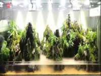 保定安双商贸有限公司