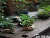 保定安双商贸有限公司