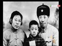 保定安双商贸有限公司