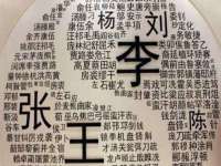 保定安双商贸有限公司