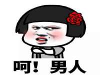 保定安双商贸有限公司