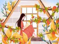 保定安双商贸有限公司