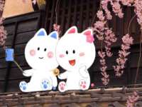 保定安双商贸有限公司