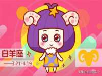保定安双商贸有限公司
