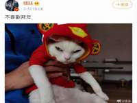 保定安双商贸有限公司